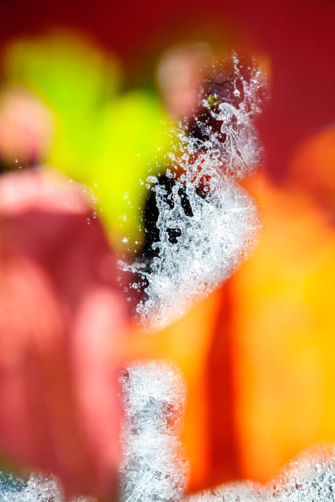 Voice of Silence 9896 2023 Fuji crystal archive print 45 x 30 inches