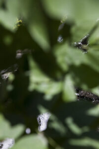 this:seasons 9.3.16_11:02:10 2017 Dye sublimation on aluminum; wood frame 60 x 40 inches