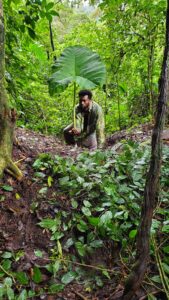 Eclipse (Amazon, September 7, 1858) is made possible, in part, by the New York State Council on the Arts with the support of the Office of the Governor and the New York State Legislature through the Media Arts Assistance Fund a regrant partnership of NYSCA and Wave Farm.