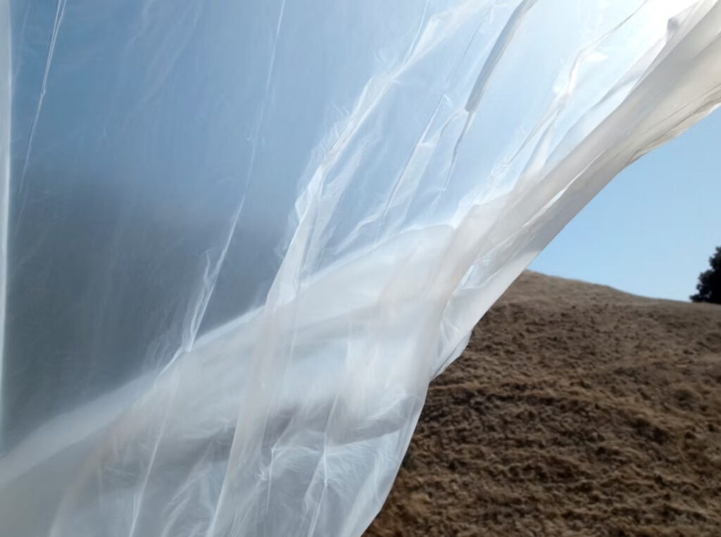 Dana Hoey 60”x 40”